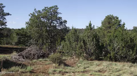 882 E Little Horse Rd #153, Williams, AZ 86046