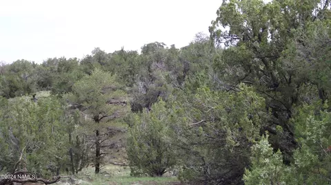 553 E Little Horse Rd #140, Williams, AZ 86046