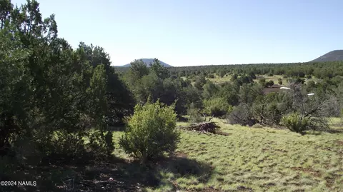 978 E Hualpai Trl #184, Williams, AZ 86046