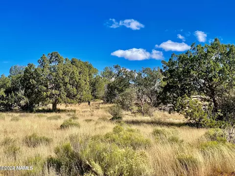 9379 W Red Bluff Rd, Williams, AZ 86046