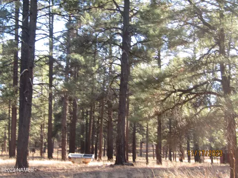 6612 Lynx Ln, Flagstaff, AZ 86004