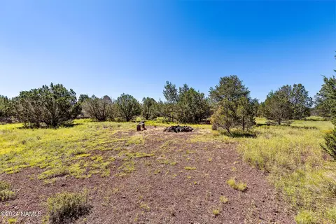 248 E Orchid Dr, Williams, AZ 86046 photo 25