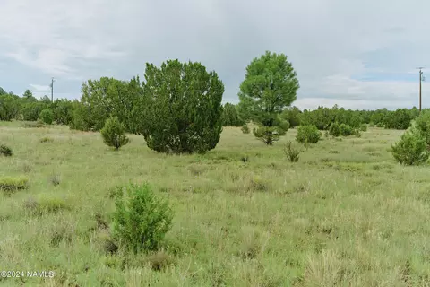 1687 E Brook Hill Rd, Williams, AZ 86046 photo 12