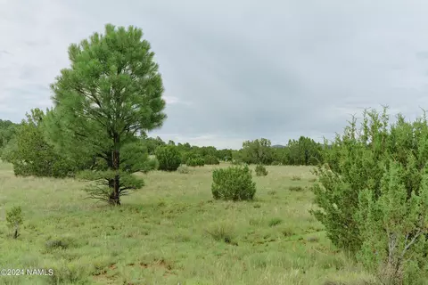 1687 E Brook Hill Rd, Williams, AZ 86046 photo 13