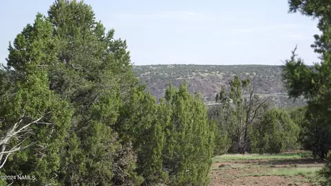 1197 E Indian Blanket Rd #523, Williams, AZ 86046