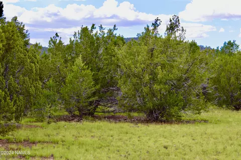 02 N Santa Fe Dr, Williams, AZ 86046