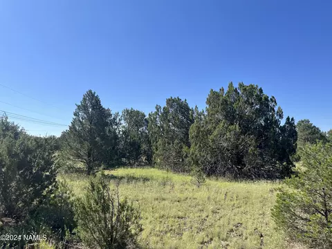 6768 N Isabella St #399, Williams, AZ 86046
