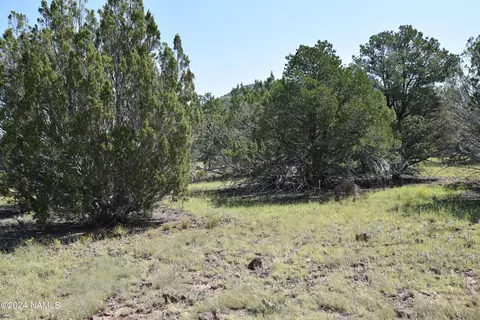 258 E Key Cir #416, Williams, AZ 86046
