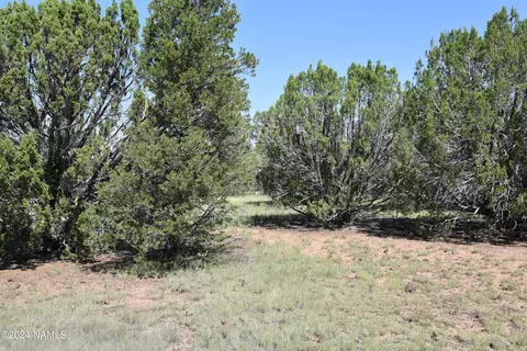 258 E Key Cir #416, Williams, AZ 86046 photo 4