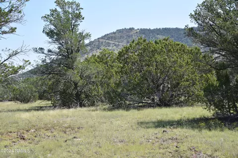 258 E Key Cir #416, Williams, AZ 86046 photo 5