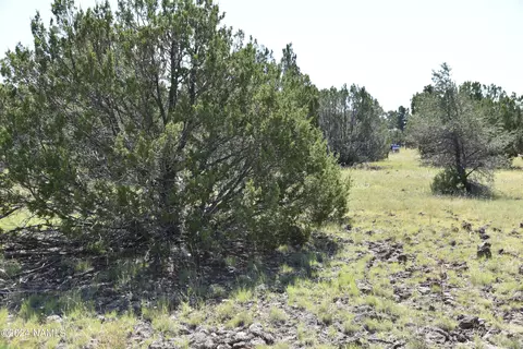258 E Key Cir #416, Williams, AZ 86046 photo 2