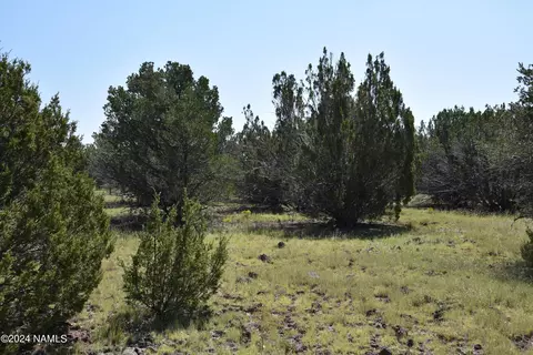 258 E Key Cir #416, Williams, AZ 86046 photo 3