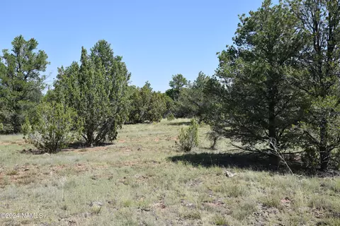 258 E Key Cir #416, Williams, AZ 86046 photo 7