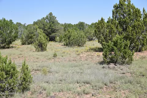 279 E Key Cir #417, Williams, AZ 86046