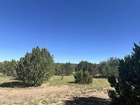 1259 E Cedar Wash Rd, Williams, AZ 86046 photo 12