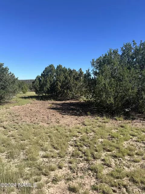 1259 E Cedar Wash Rd, Williams, AZ 86046 photo 15