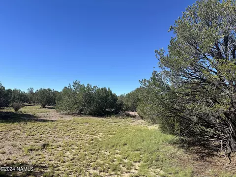 1259 E Cedar Wash Rd, Williams, AZ 86046 photo 10
