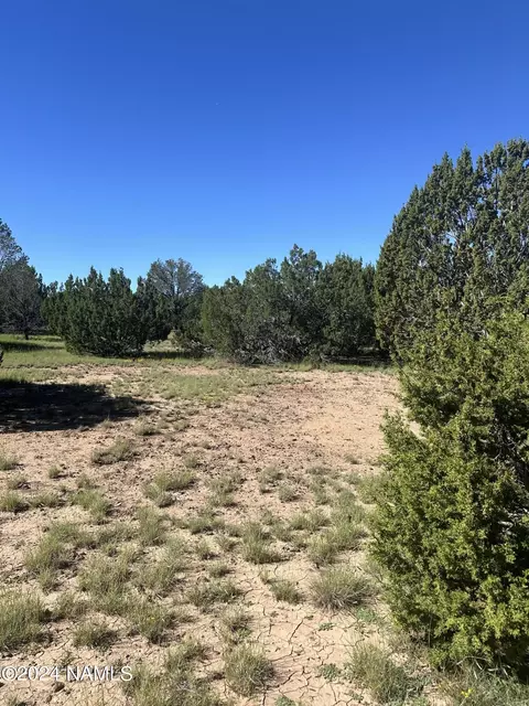 1259 E Cedar Wash Rd, Williams, AZ 86046 photo 17