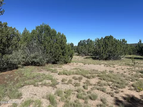 1259 E Cedar Wash Rd, Williams, AZ 86046 photo 2