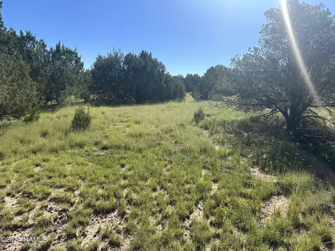 1259 E Cedar Wash Rd, Williams, AZ 86046 photo 7