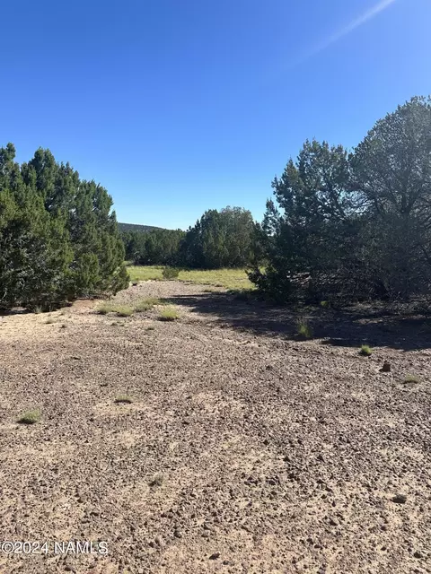 1259 E Cedar Wash Rd, Williams, AZ 86046 photo 19