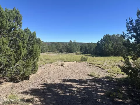 1259 E Cedar Wash Rd, Williams, AZ 86046 photo 23
