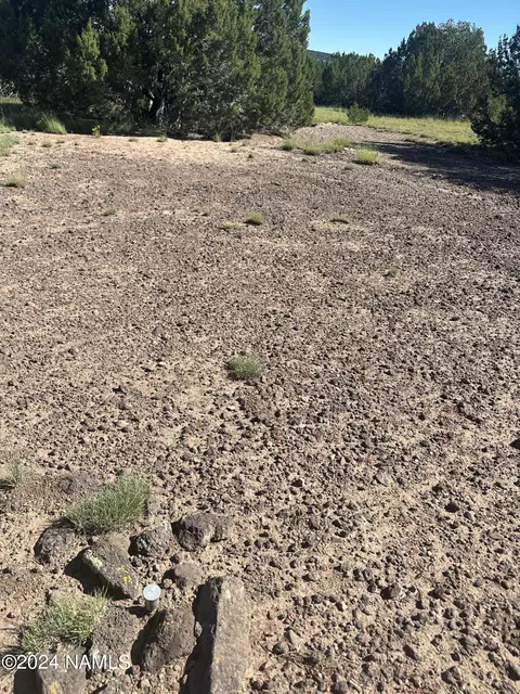 1259 E Cedar Wash Rd, Williams, AZ 86046 photo 18
