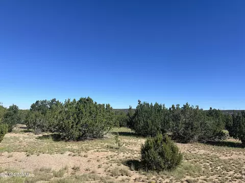 1259 E Cedar Wash Rd, Williams, AZ 86046 photo 5