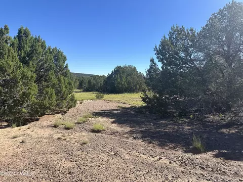 1259 E Cedar Wash Rd, Williams, AZ 86046 photo 22