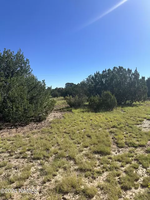 1259 E Cedar Wash Rd, Williams, AZ 86046 photo 14