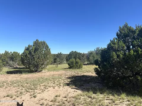 1259 E Cedar Wash Rd, Williams, AZ 86046 photo 9
