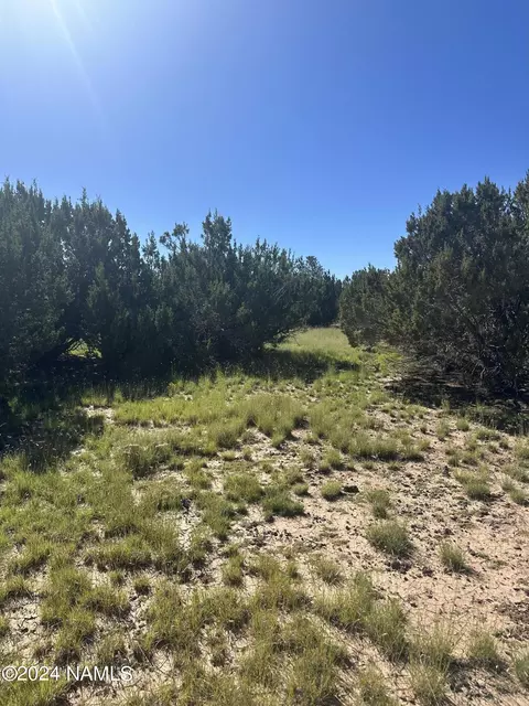 1259 E Cedar Wash Rd, Williams, AZ 86046 photo 16