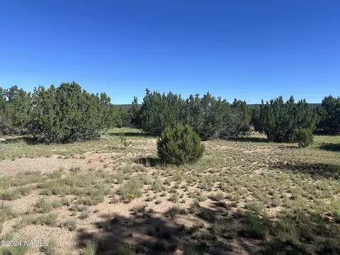 1259 E Cedar Wash Rd, Williams, AZ 86046