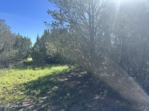 1259 E Cedar Wash Rd, Williams, AZ 86046 photo 6