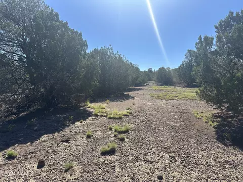 1259 E Cedar Wash Rd, Williams, AZ 86046 photo 21