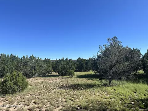 1259 E Cedar Wash Rd, Williams, AZ 86046 photo 3