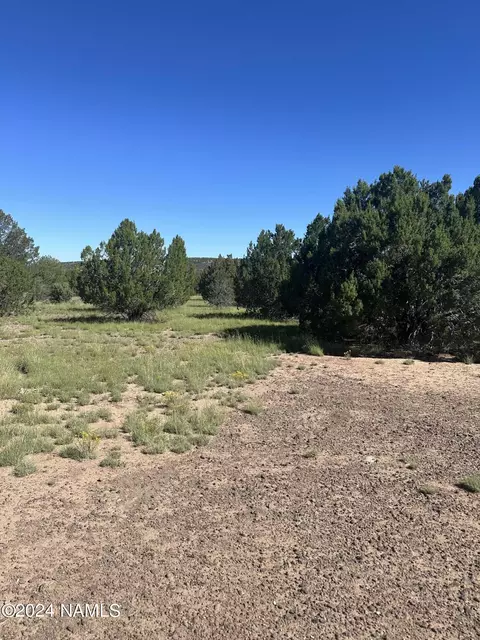 1259 E Cedar Wash Rd, Williams, AZ 86046 photo 20