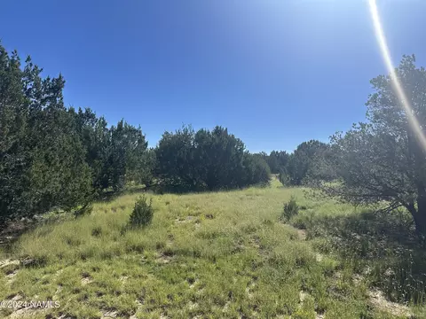 1259 E Cedar Wash Rd, Williams, AZ 86046 photo 8