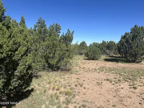 1259 E Cedar Wash Rd, Williams, AZ 86046 photo 11