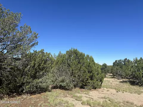 1259 E Cedar Wash Rd, Williams, AZ 86046 photo 4