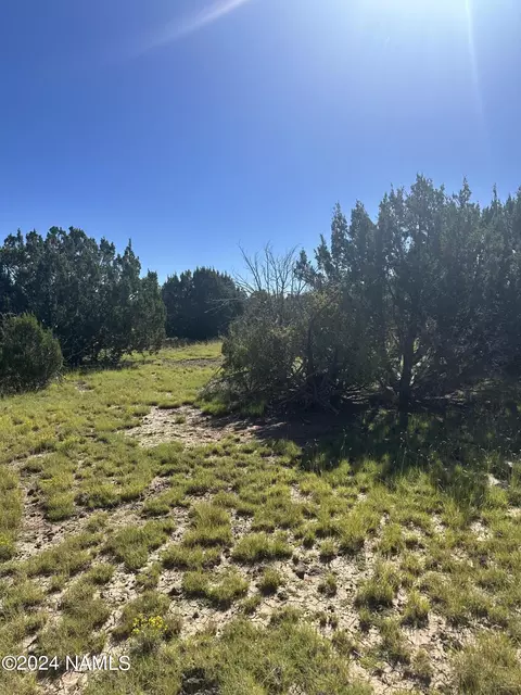 1259 E Cedar Wash Rd, Williams, AZ 86046 photo 13