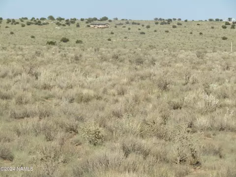 275 E Pine Rd #376, Williams, AZ 86046