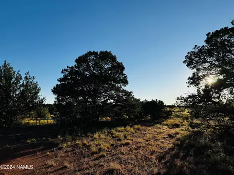 4350 4386 E Cedar Rd, Williams, AZ 86046 photo 17