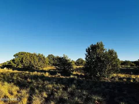4350 4386 E Cedar Rd, Williams, AZ 86046 photo 15