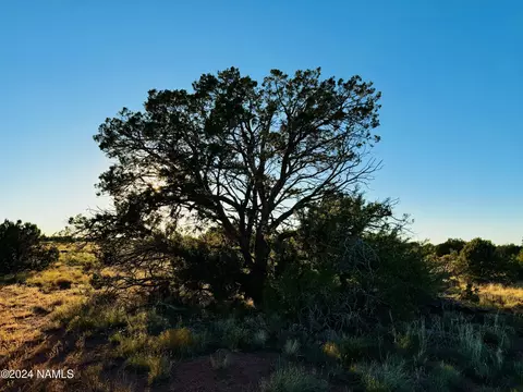 4350 4386 E Cedar Rd, Williams, AZ 86046