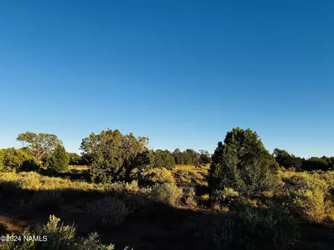 4350 4386 E Cedar Rd, Williams, AZ 86046 photo 18