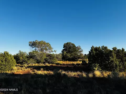 4350 4386 E Cedar Rd, Williams, AZ 86046 photo 9
