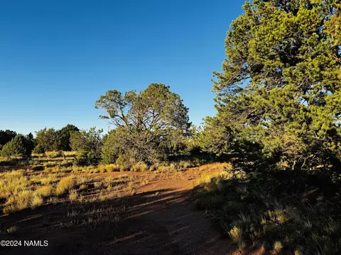 4350 4386 E Cedar Rd, Williams, AZ 86046 photo 12