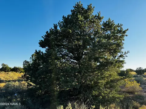 4350 4386 E Cedar Rd, Williams, AZ 86046 photo 4