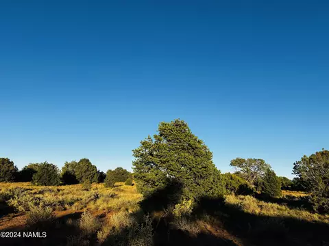 4350 4386 E Cedar Rd, Williams, AZ 86046 photo 11